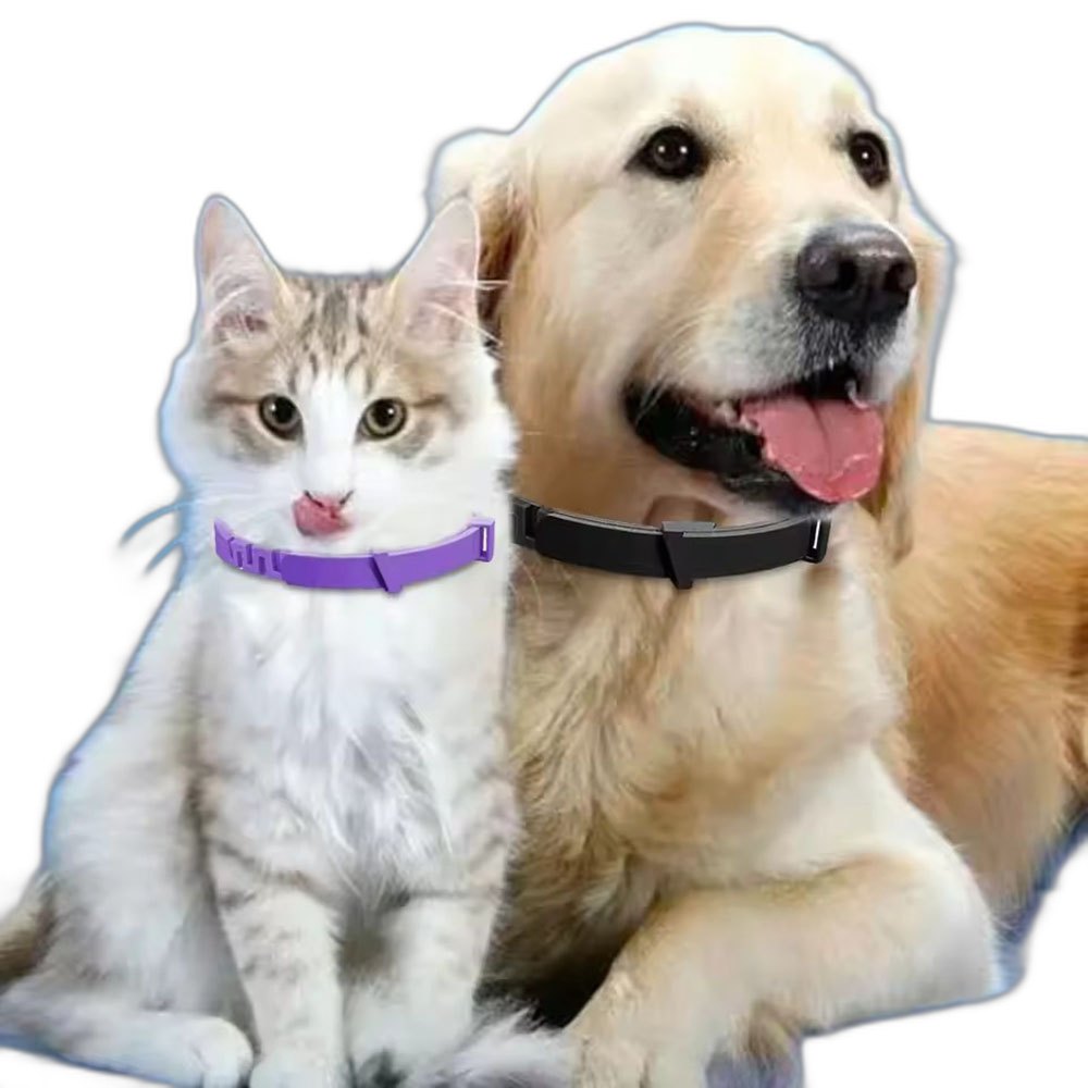 Pet Supplies